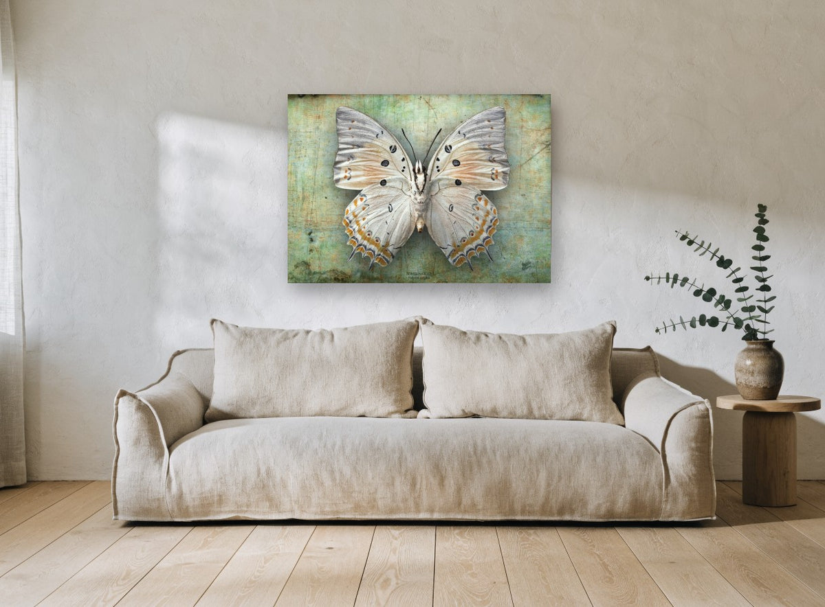 Pale Jewel Butterfly animal canvas print on the wall of a living room