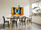 Blue Swallowtail on Amber animal canvas print on the wall of a dining room