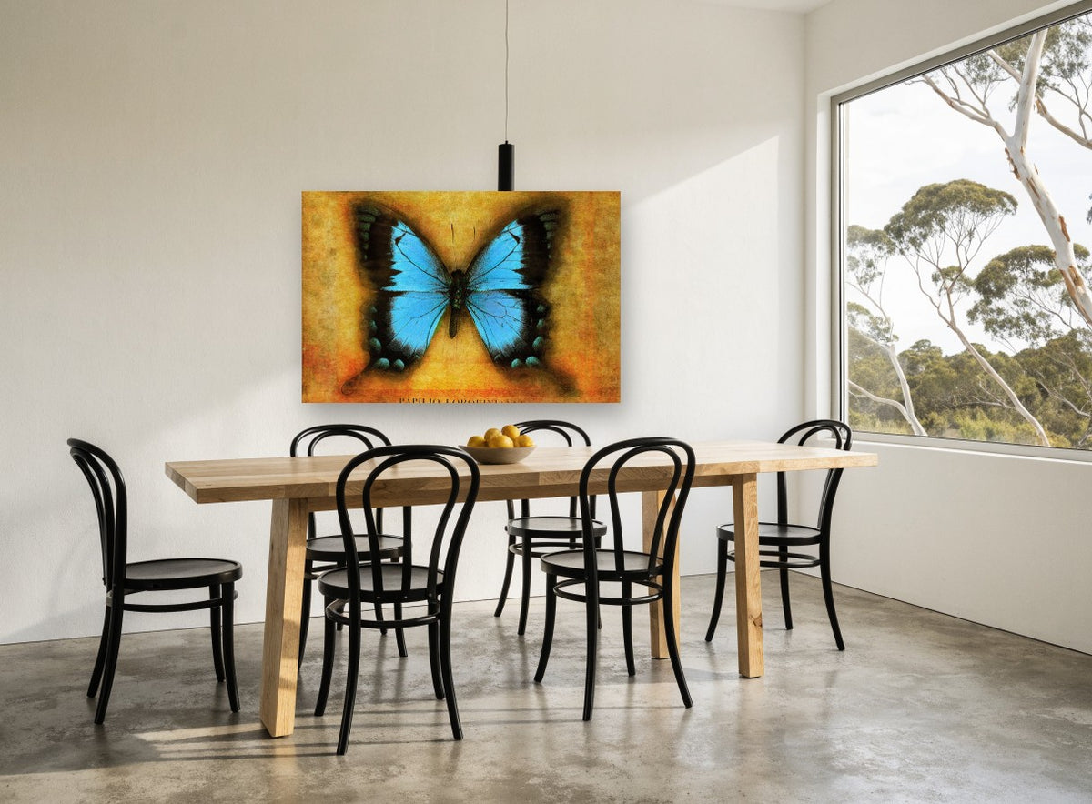 Blue Swallowtail on Amber animal canvas print on the wall of a dining room