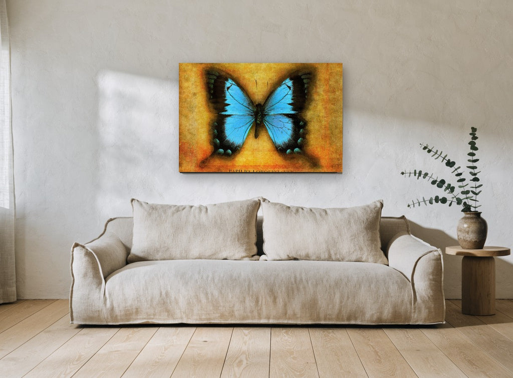 Blue Swallowtail on Amber animal canvas print on the wall of a living room