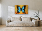 Blue Swallowtail on Amber animal canvas print on the wall of a living room