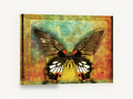 Mormon Butterfly Textured Panel, great mormon butterfly textured illustration, animal canvas wall art print ready to hang