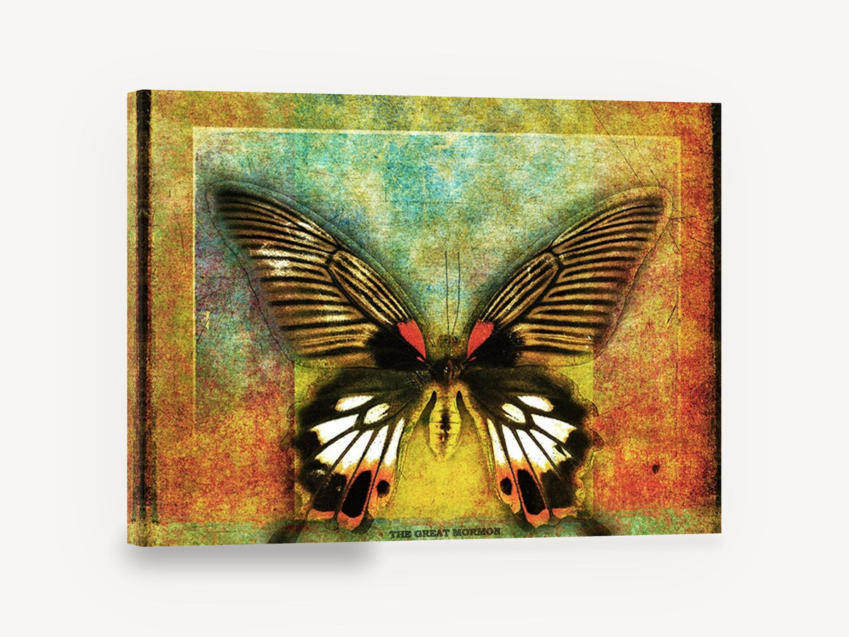 Mormon Butterfly Textured Panel, great mormon butterfly textured illustration, animal canvas wall art print ready to hang