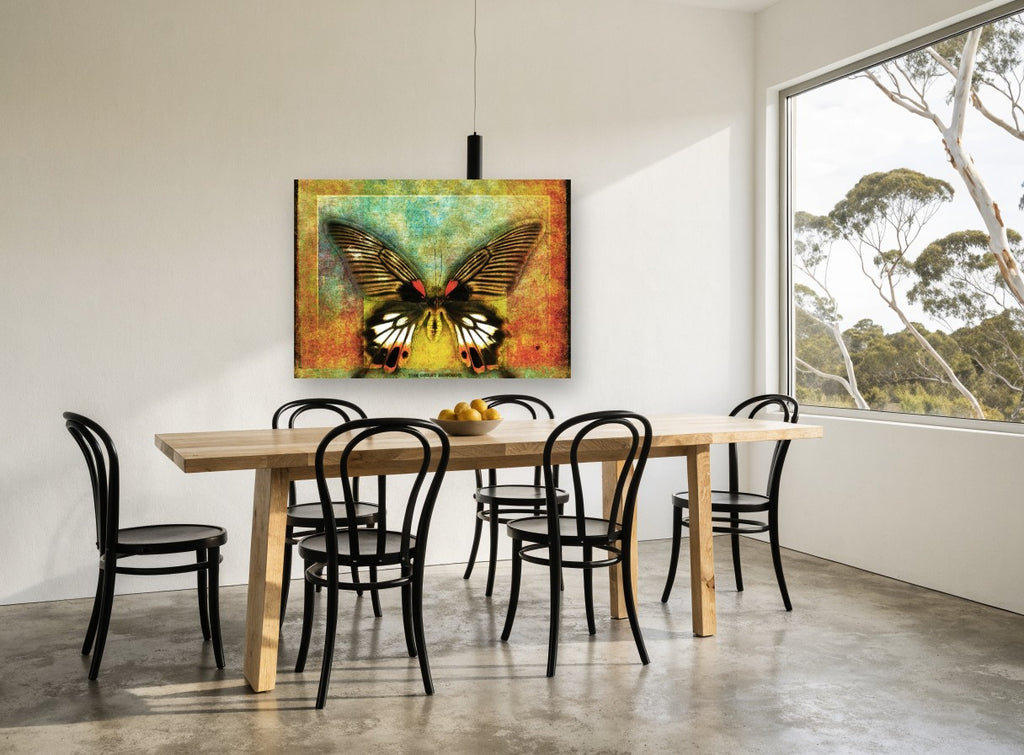 Mormon Butterfly Textured Panel animal canvas print on the wall of a dining room