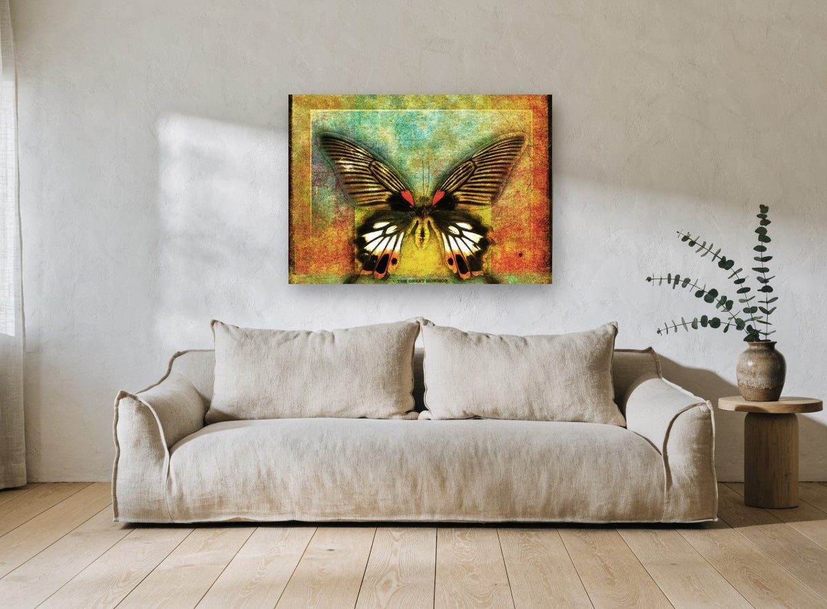 Mormon Butterfly Textured Panel animal canvas print on the wall of a living room