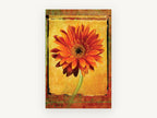 Orange Gerbera Frame, floral canvas wall art print, front view