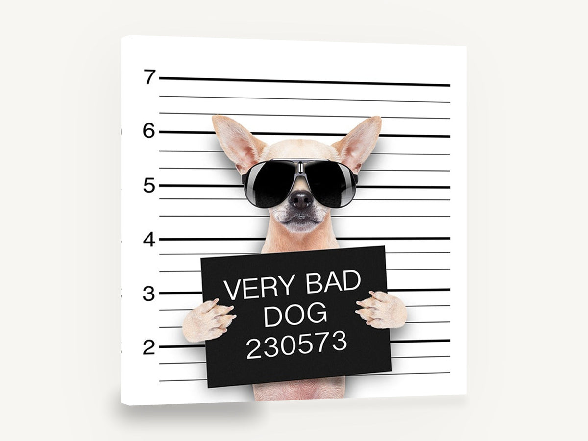 Very Bad Dog Lineup, chihuahua mugshot humour photograph, animal canvas wall art print ready to hang