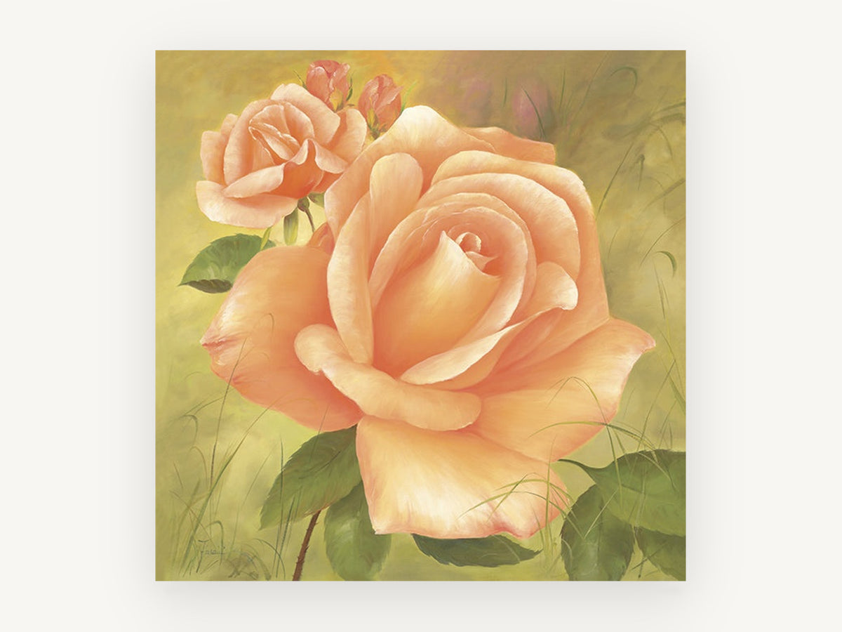Apricot Rose Garden, floral canvas wall art print, front view