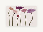 Poppy Row in Blush, floral canvas wall art print, front view