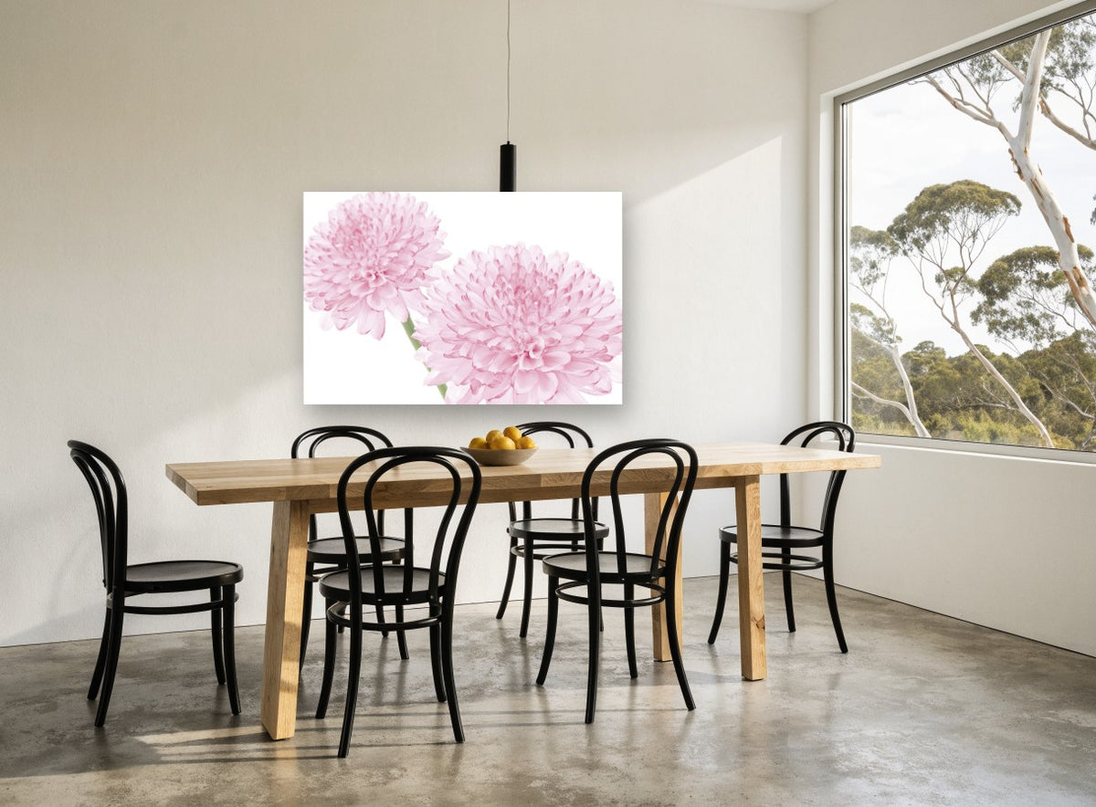 Soft Pink Pompom Pair floral canvas print on the wall of a dining room
