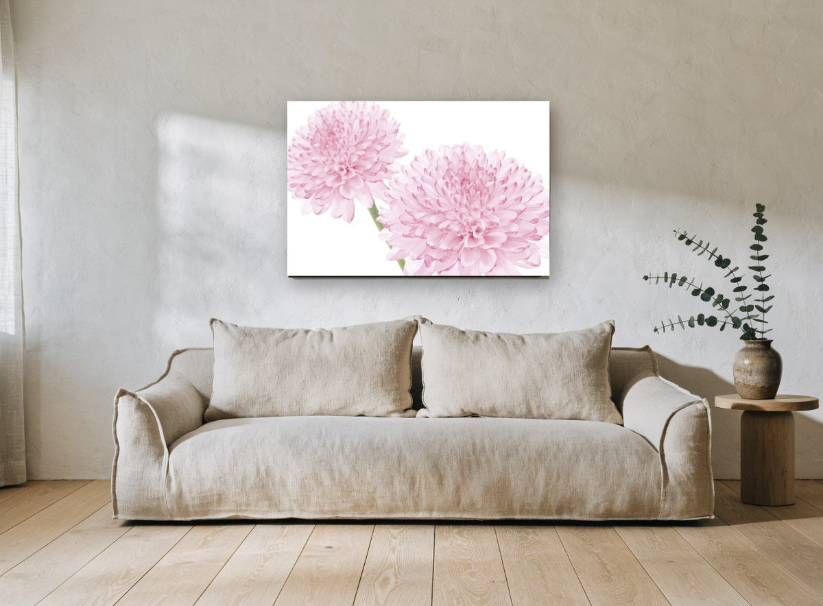 Soft Pink Pompom Pair floral canvas print on the wall of a living room