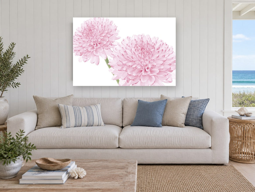 Soft Pink Pompom Pair floral canvas print on the wall of a beach house living room