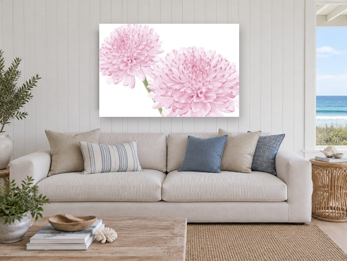 Soft Pink Pompom Pair floral canvas print on the wall of a beach house living room