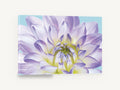 Lilac Dahlia Bloom, lilac dahlia close-up photograph, floral canvas wall art print ready to hang