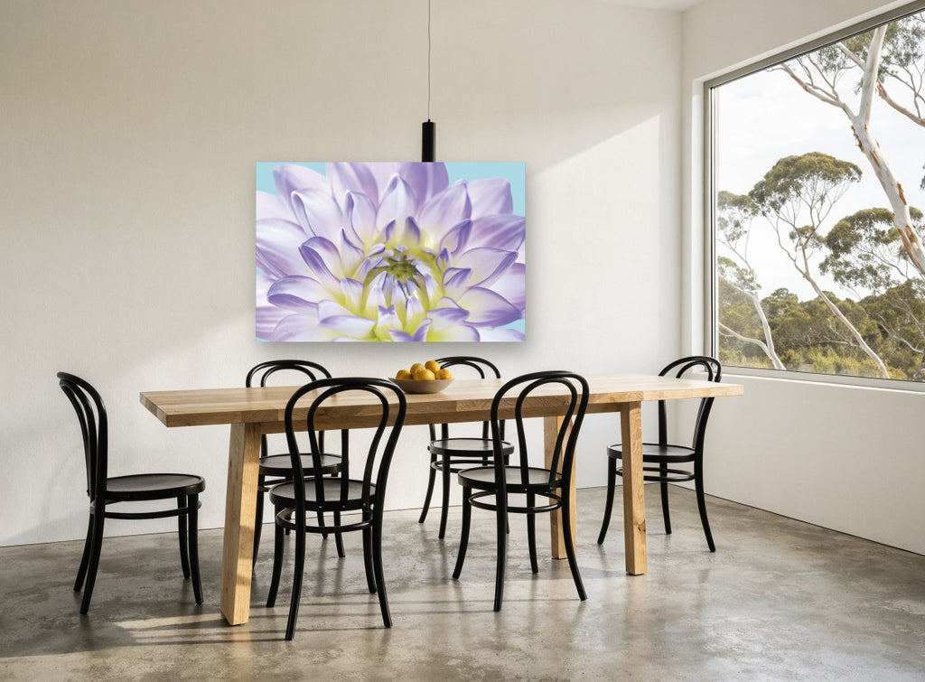 Lilac Dahlia Bloom floral canvas print on the wall of a dining room