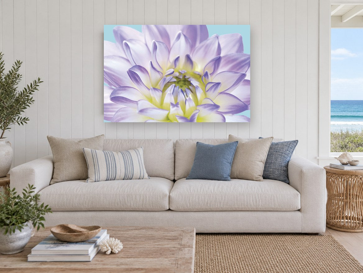 Lilac Dahlia Bloom floral canvas print on the wall of a beach house living room