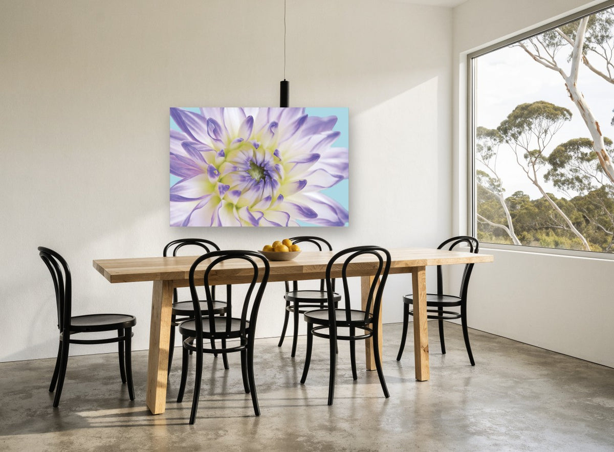 Lilac Dahlia Close floral canvas print on the wall of a dining room