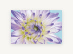 Lilac Dahlia Close, floral canvas wall art print, front view