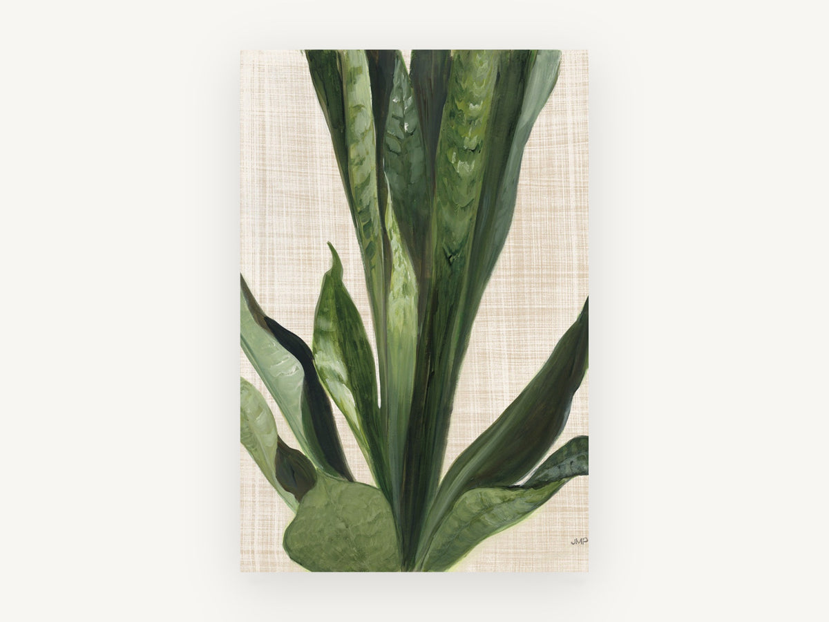 Snake Plant on Linen, floral canvas wall art print, front view
