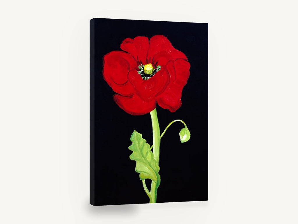 Red Poppy on Black, red poppy floral on black background, floral canvas wall art print ready to hang