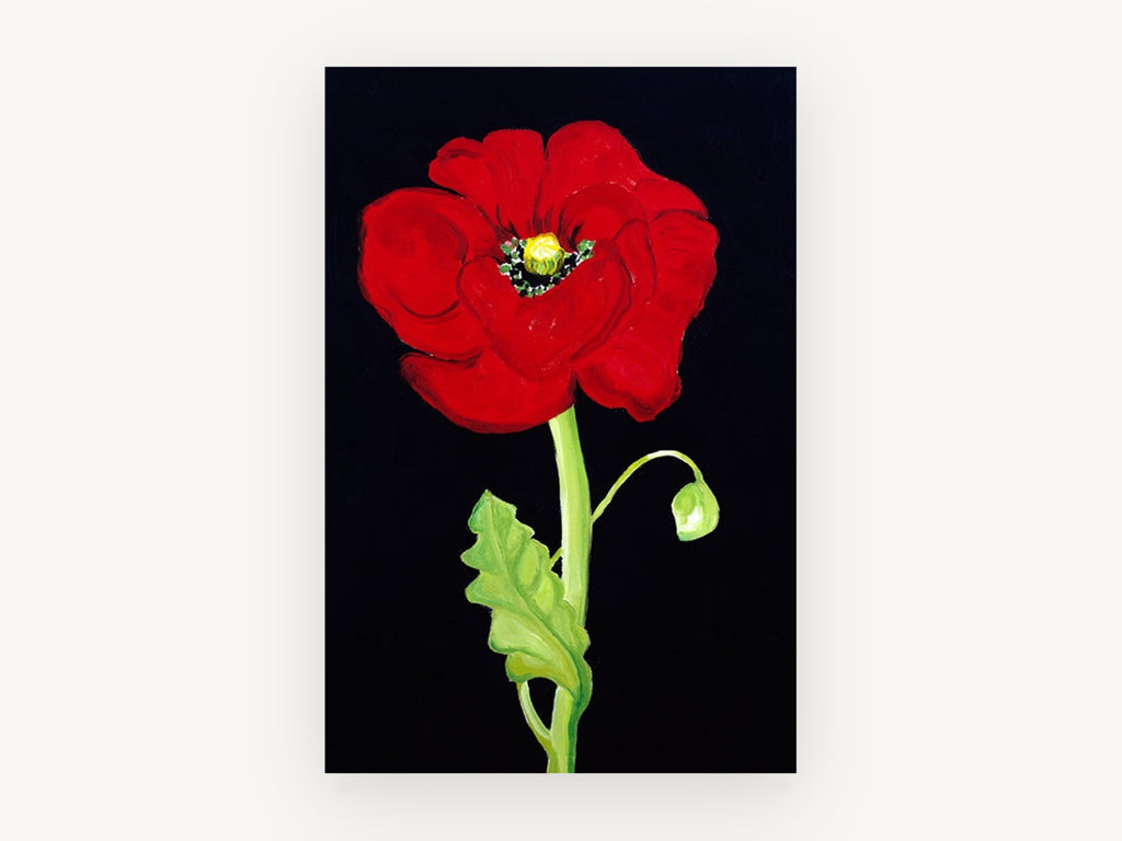 Red Poppy on Black, floral canvas wall art print, front view