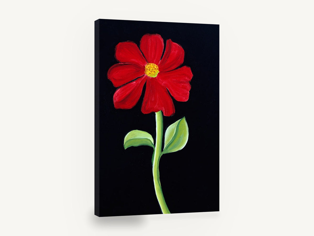 Red Bloom on Black, red cosmos flower black background, floral canvas wall art print ready to hang