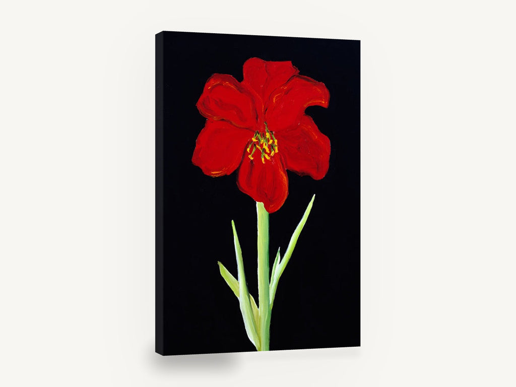 Scarlet Amaryllis on Black, red amaryllis flower painting black background, floral canvas wall art print ready to hang