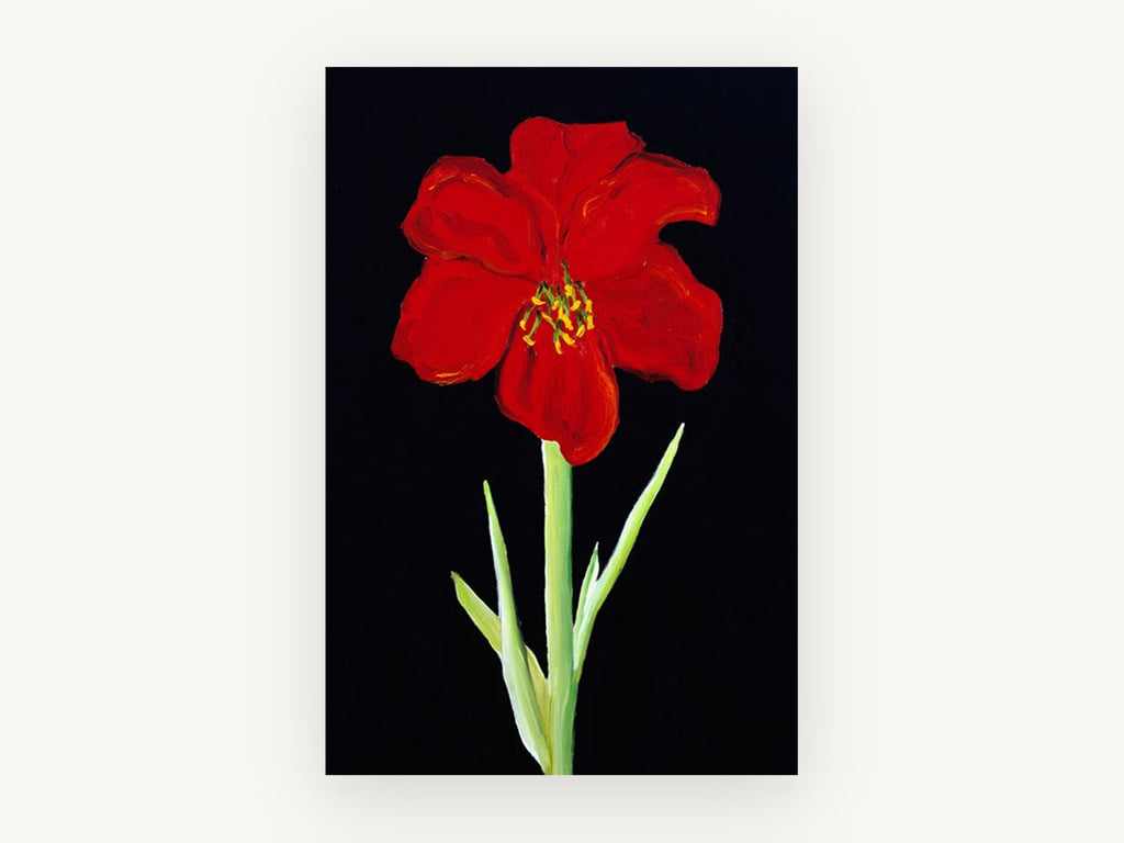 Scarlet Amaryllis on Black, floral canvas wall art print, front view