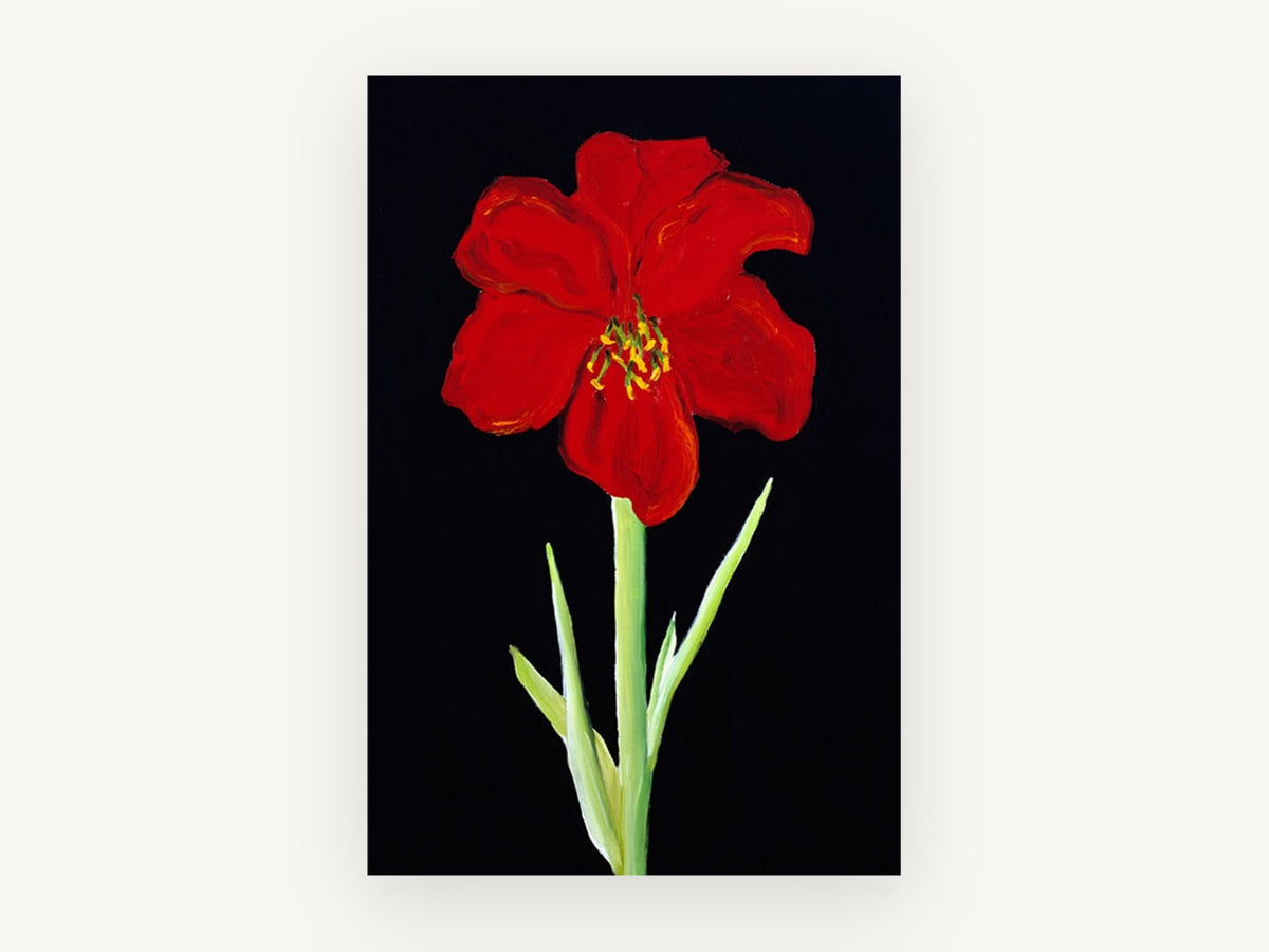 Scarlet Amaryllis on Black, floral canvas wall art print, front view