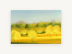 Golden Grove Haze, yellow trees soft focus landscape, landscape canvas wall art print, front view