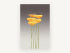 Five Golden Poppies, floral canvas wall art print, front view
