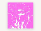 Pink Poppy Silhouette, floral canvas wall art print, front view