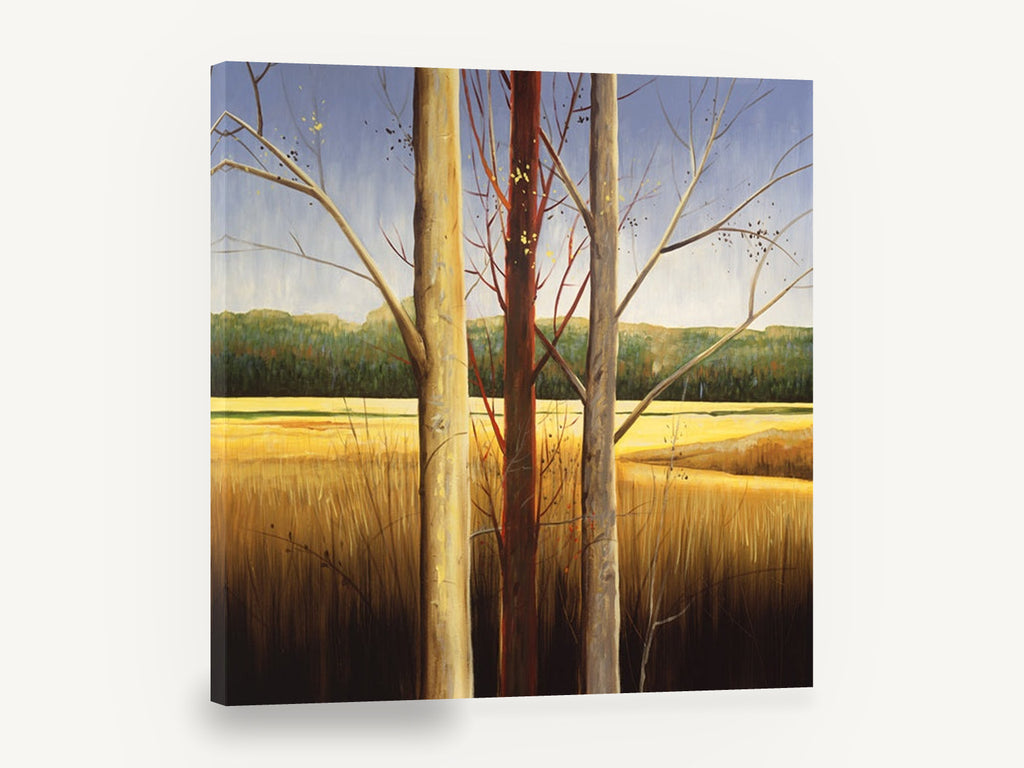 Three Trunks Golden Meadow, bare trees golden meadow landscape, landscape canvas wall art print ready to hang