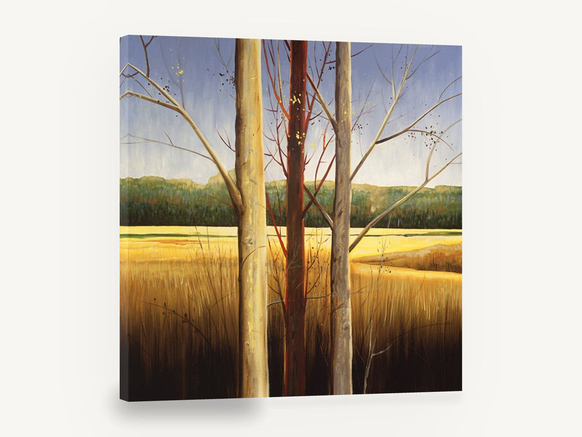 Three Trunks Golden Meadow, bare trees golden meadow landscape, landscape canvas wall art print ready to hang