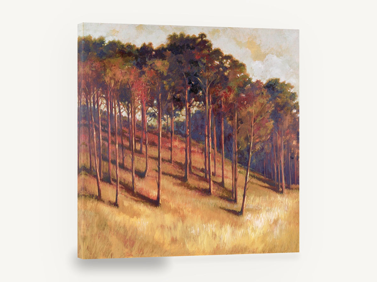 Amber Hillside Grove, sunlit hillside tree grove artwork, landscape canvas wall art print ready to hang