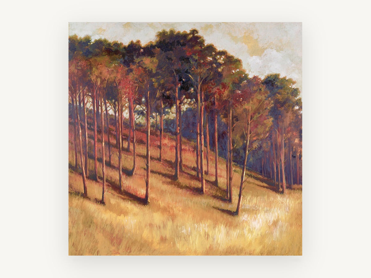 Amber Hillside Grove, sunlit hillside tree grove artwork, landscape canvas wall art print, front view