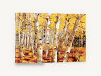 Golden Aspen Trunks, golden aspen grove autumn painting, landscape canvas wall art print ready to hang