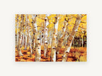 Golden Aspen Trunks, golden aspen grove autumn painting, landscape canvas wall art print, front view