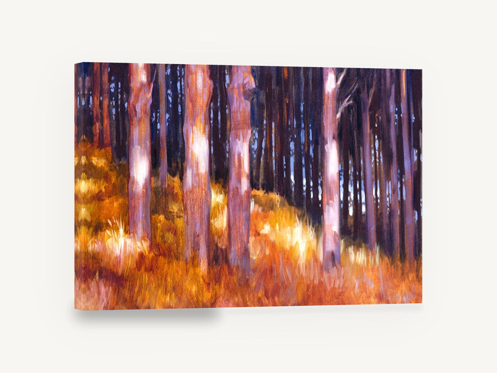 Backlit Amber Trunks, backlit forest trunks impressionist landscape, landscape canvas wall art print ready to hang