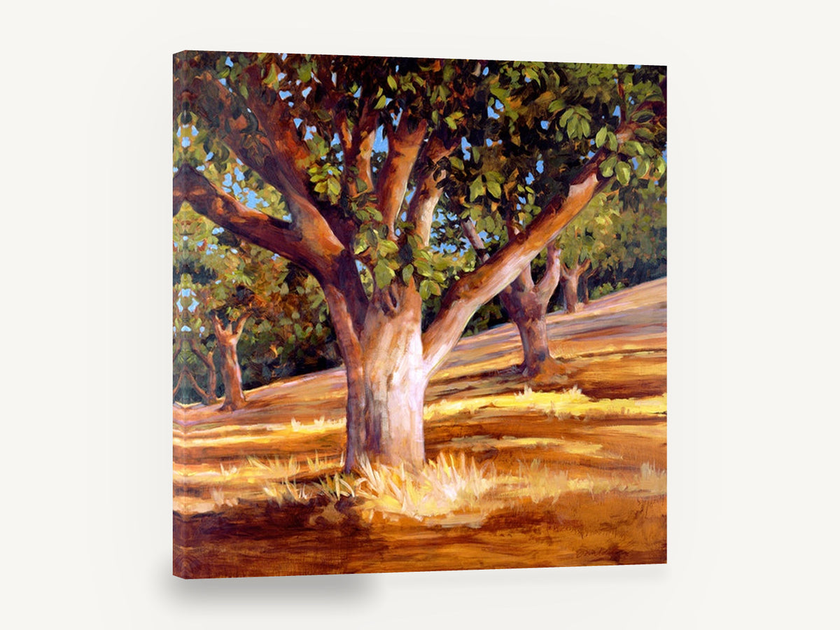 Sunlit Walnut Grove, sunlit walnut trees orchard painting, landscape canvas wall art print ready to hang