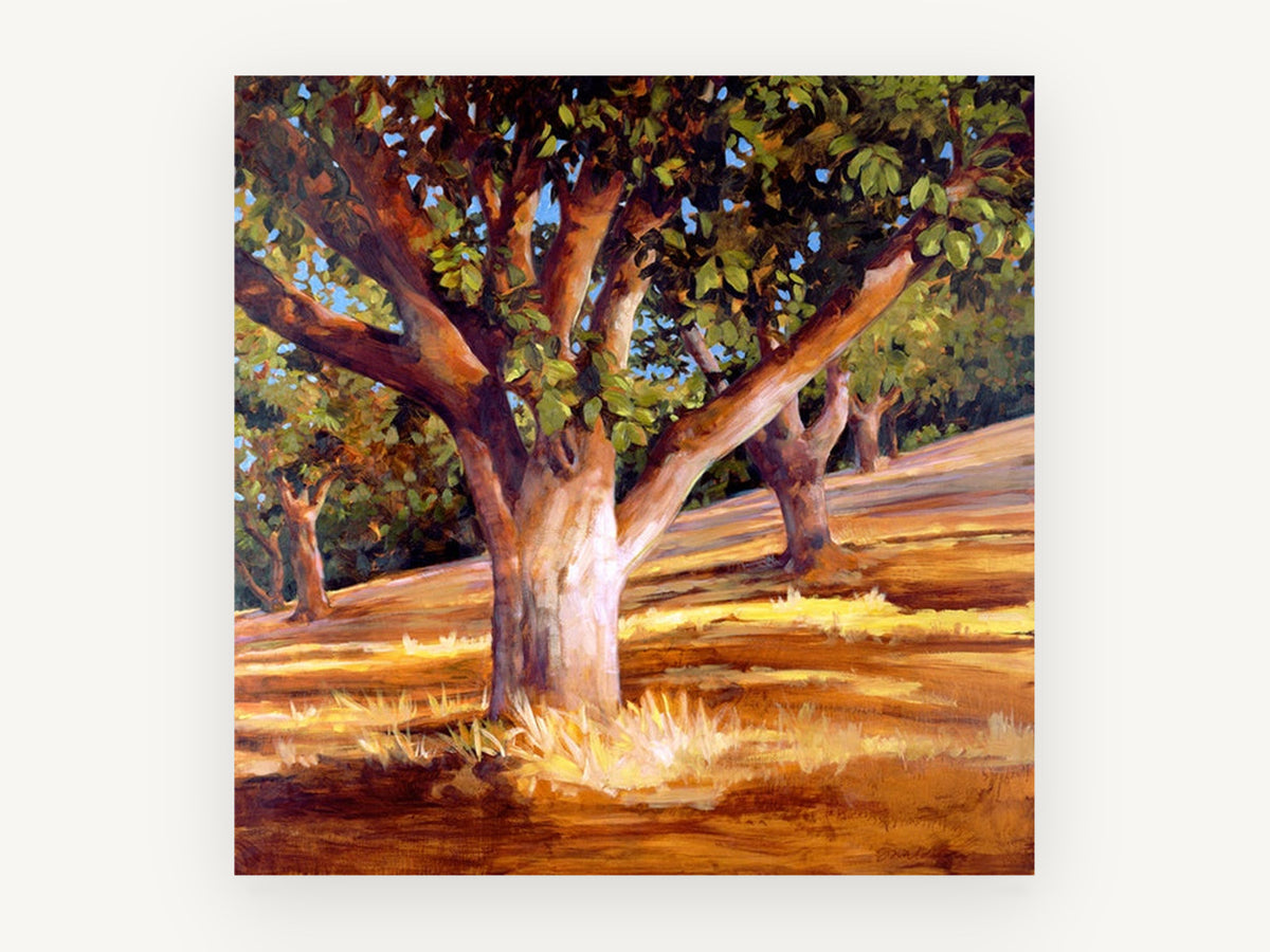Sunlit Walnut Grove, sunlit walnut trees orchard painting, landscape canvas wall art print, front view