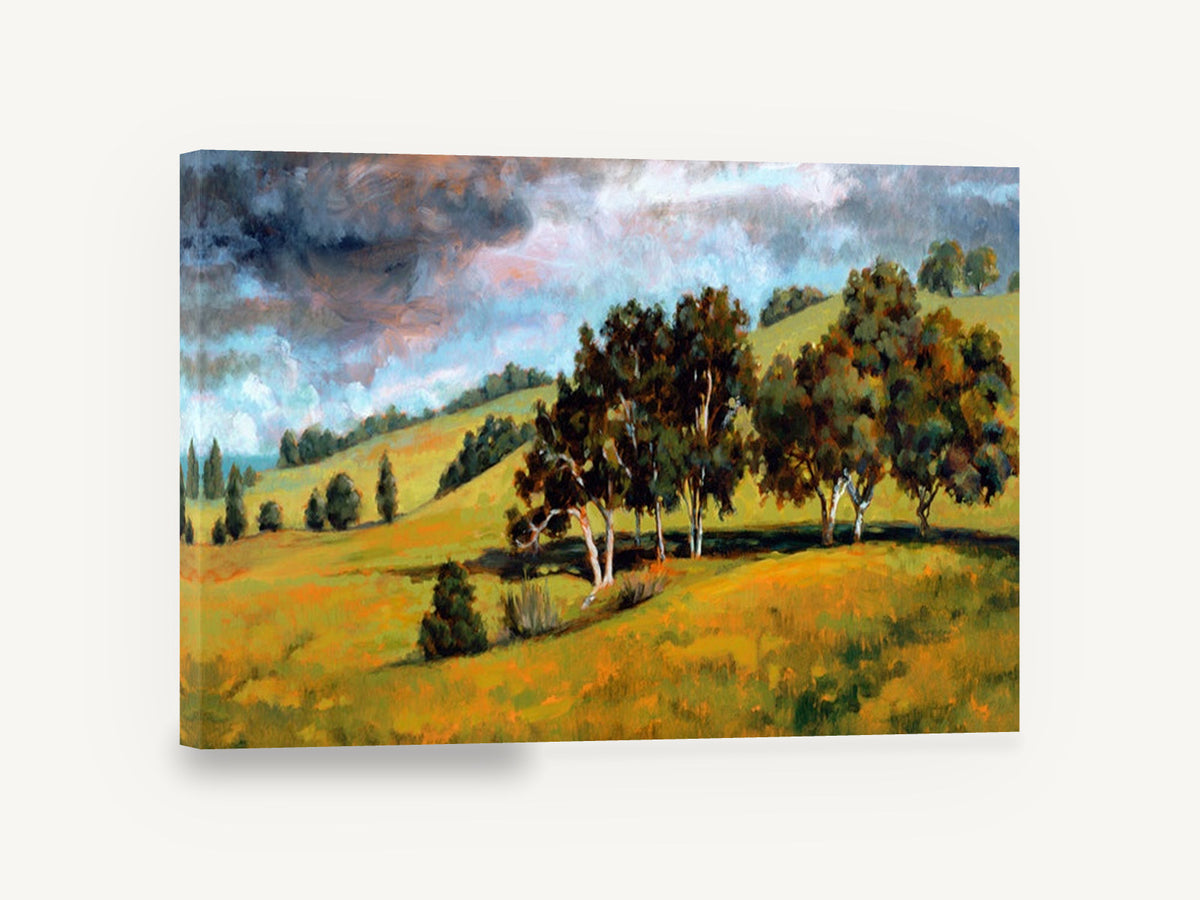 Storm Over Golden Hills, gum trees rolling hills landscape painting, landscape canvas wall art print ready to hang