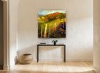 Sunlit Fence Line landscape canvas print on the wall of a hallway