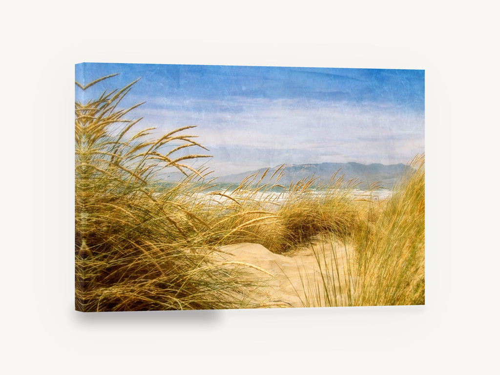 Golden Dune Lookout, golden dune grass beach photograph, coastal canvas wall art print ready to hang