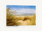 Golden Dune Lookout, golden dune grass beach photograph, coastal canvas wall art print ready to hang