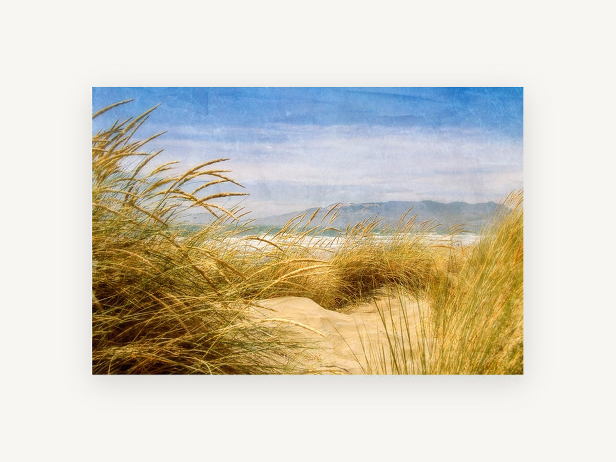 Golden Dune Lookout, coastal canvas wall art print, front view