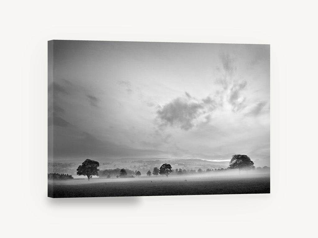 Mist Over the Paddock, misty countryside trees black and white photograph, landscape canvas wall art print ready to hang