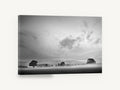Mist Over the Paddock, misty countryside trees black and white photograph, landscape canvas wall art print ready to hang
