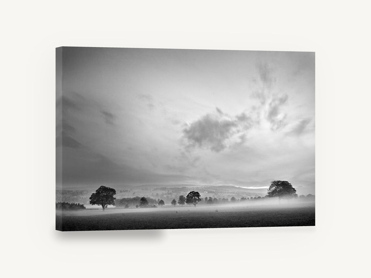 Mist Over the Paddock, misty countryside trees black and white photograph, landscape canvas wall art print ready to hang