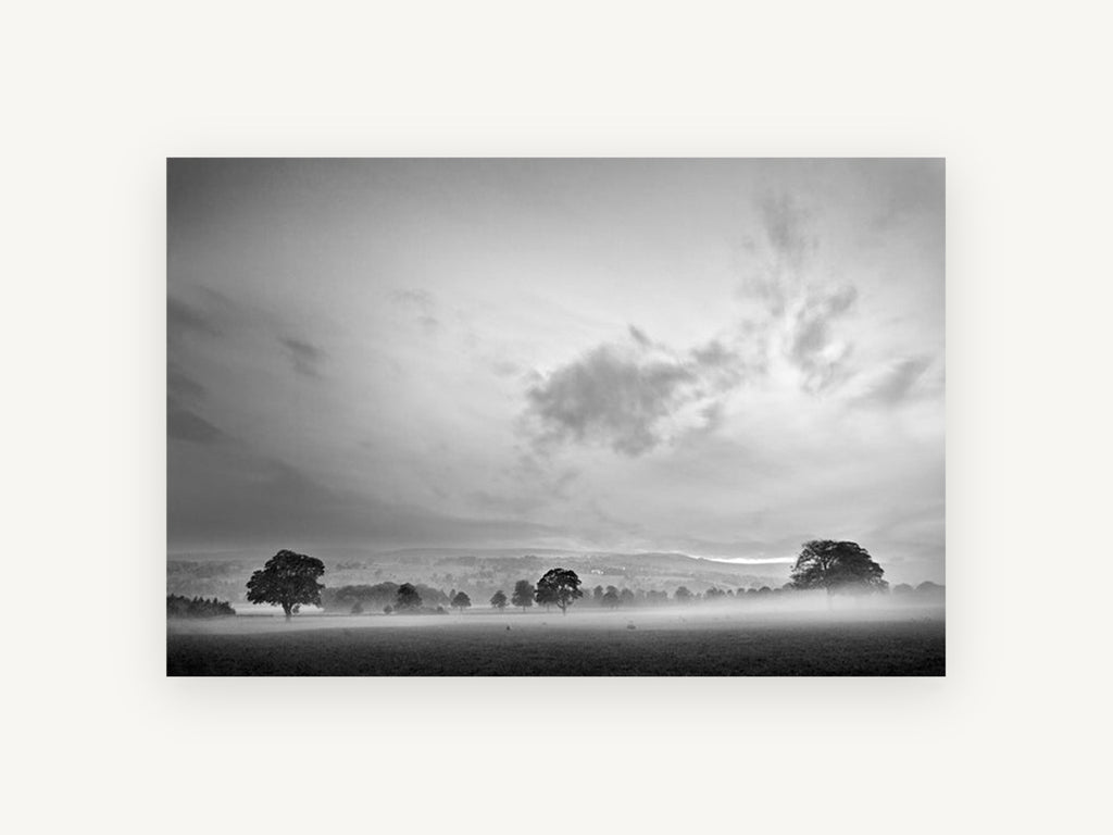 Mist Over the Paddock, misty countryside trees black and white photograph, landscape canvas wall art print, front view
